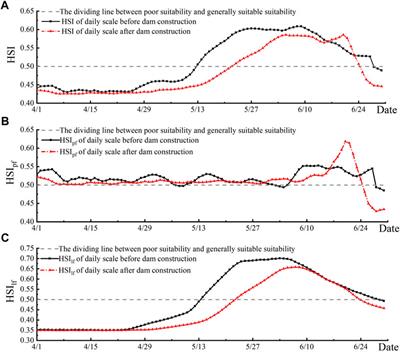 Effects of dam construction on the reproduction of the Yellow River carp (Cyprinus carpio) in lower reaches of the Yellow River, China